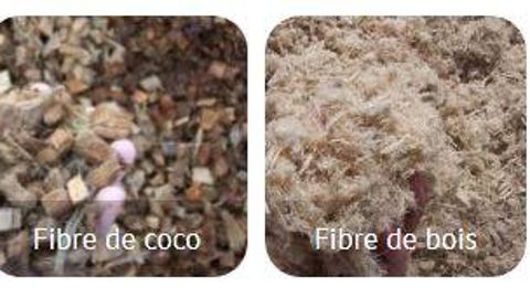 Le colloque AFAÏA est maintenu le 24 novembre, mais en visioconférence. Le concours d’étudiants est prolongé pour les délais d’inscription et de défense des sujets. ©AFAÏA